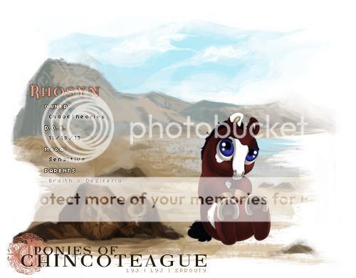 User Image